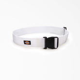 Painter's Heavy-Duty Work Tool Belt, 2" | Dickies near me