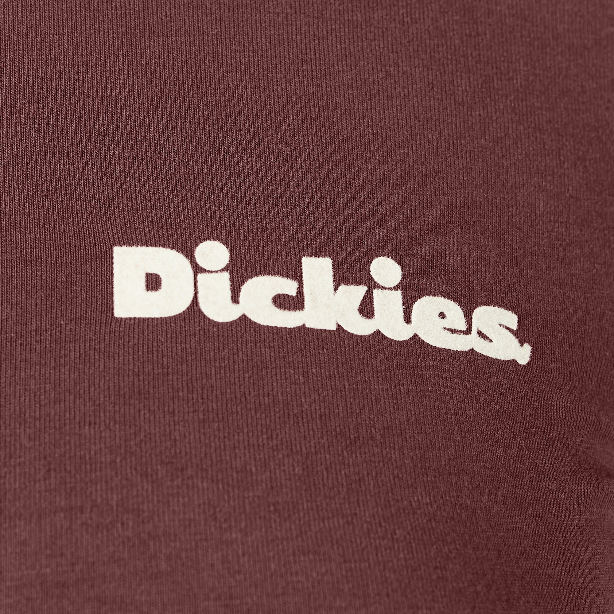 Women’s Slayden Ringer Tee | Dickies for sale