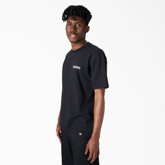 Burns Graphic T-Shirt | Dickies online