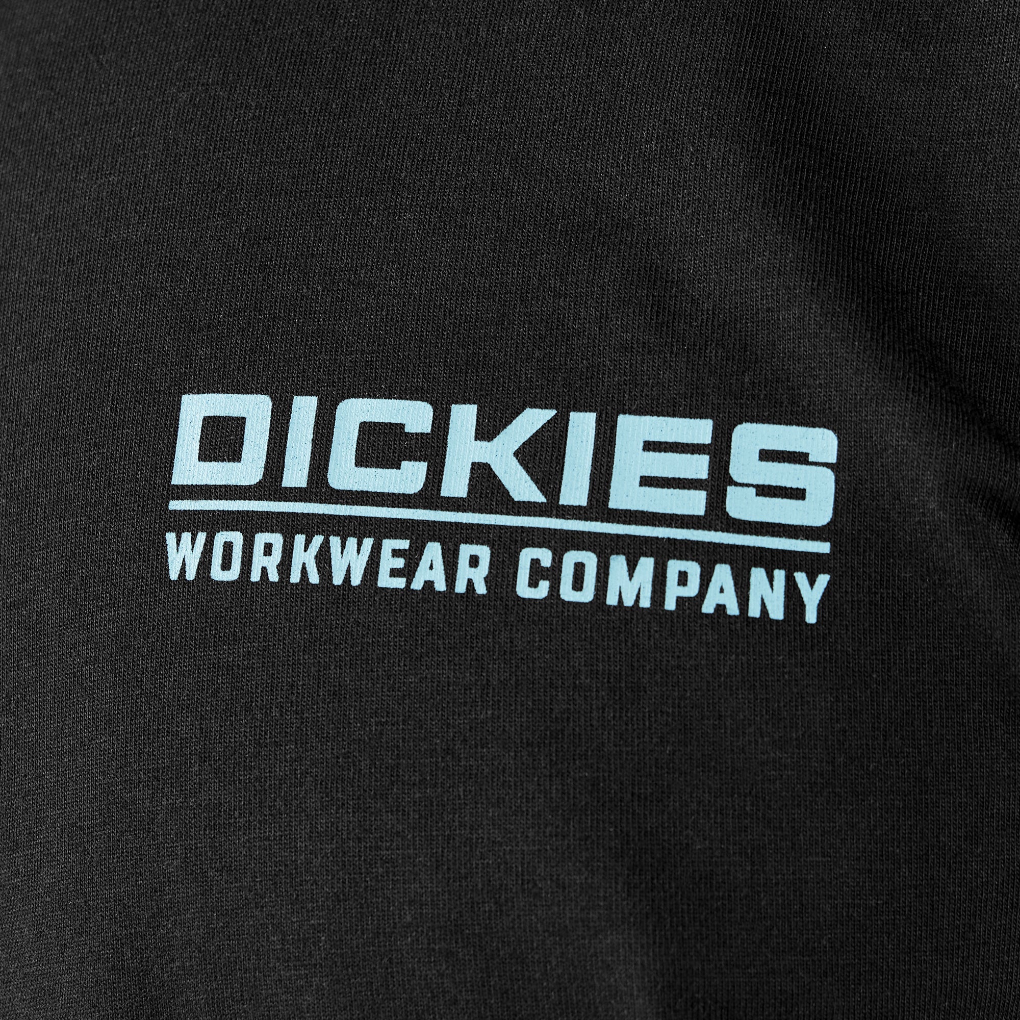 Bolivar Graphic T-Shirt | Dickies on sale