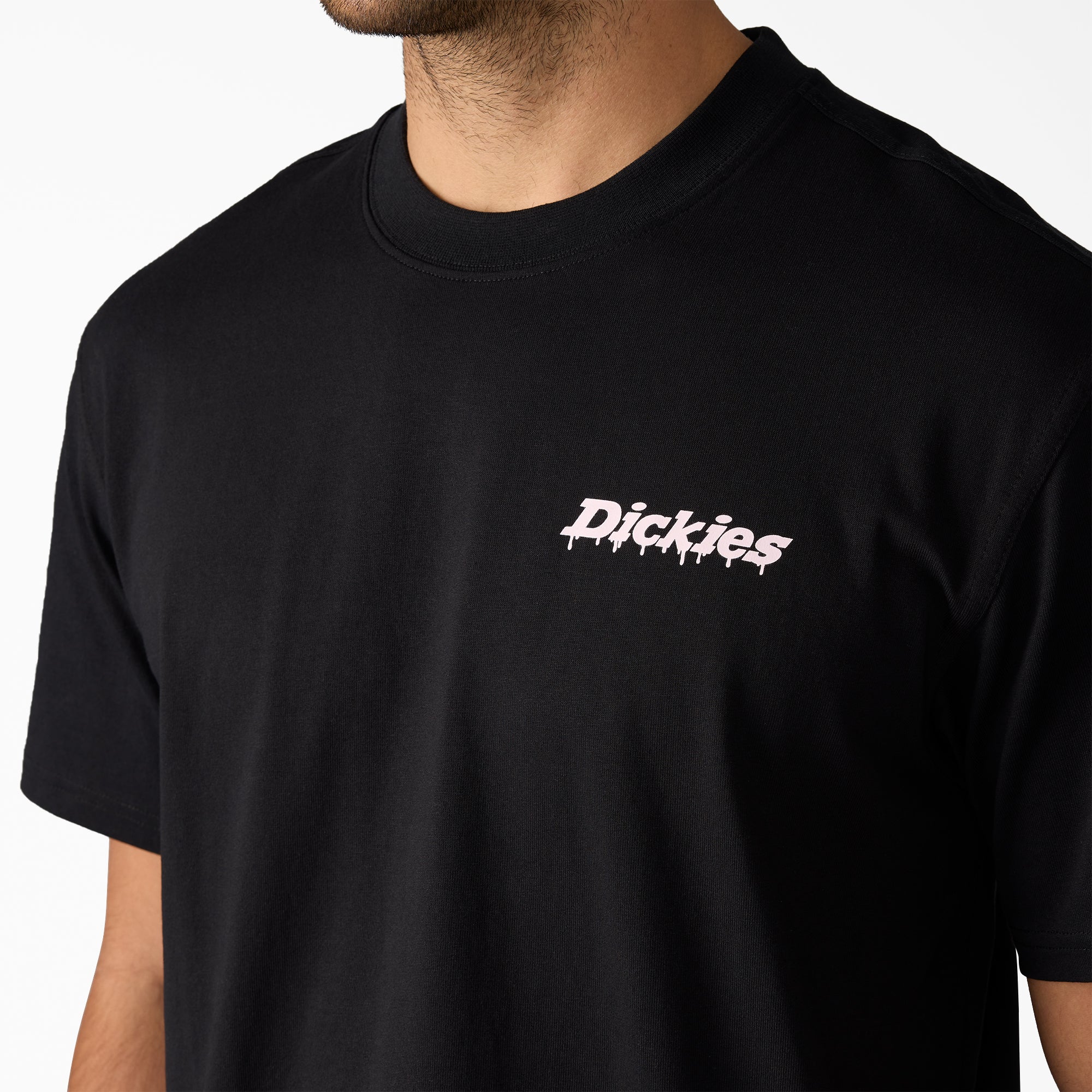 Statesville Graphic T-Shirt | Dickies online shop
