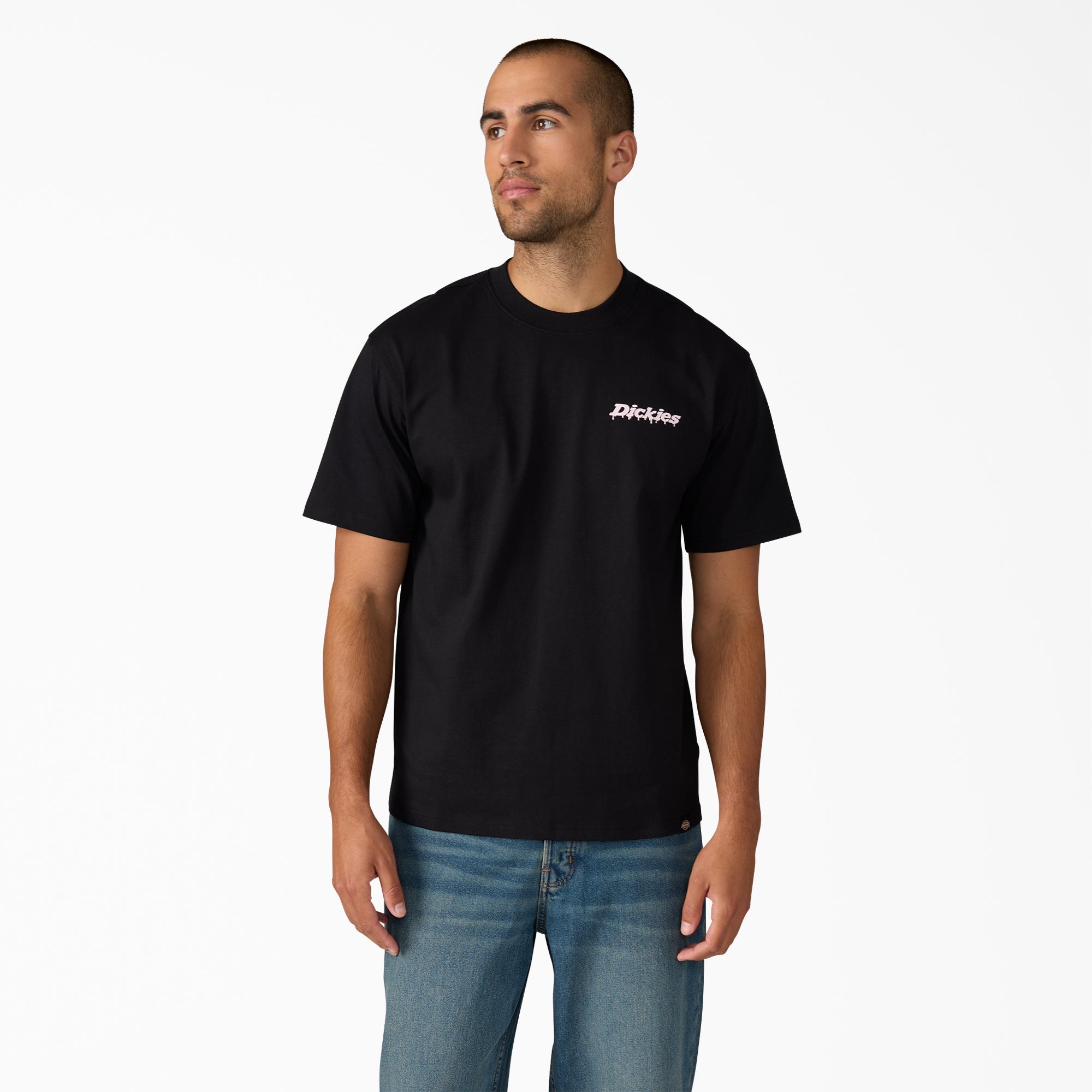 Statesville Graphic T-Shirt | Dickies online shop