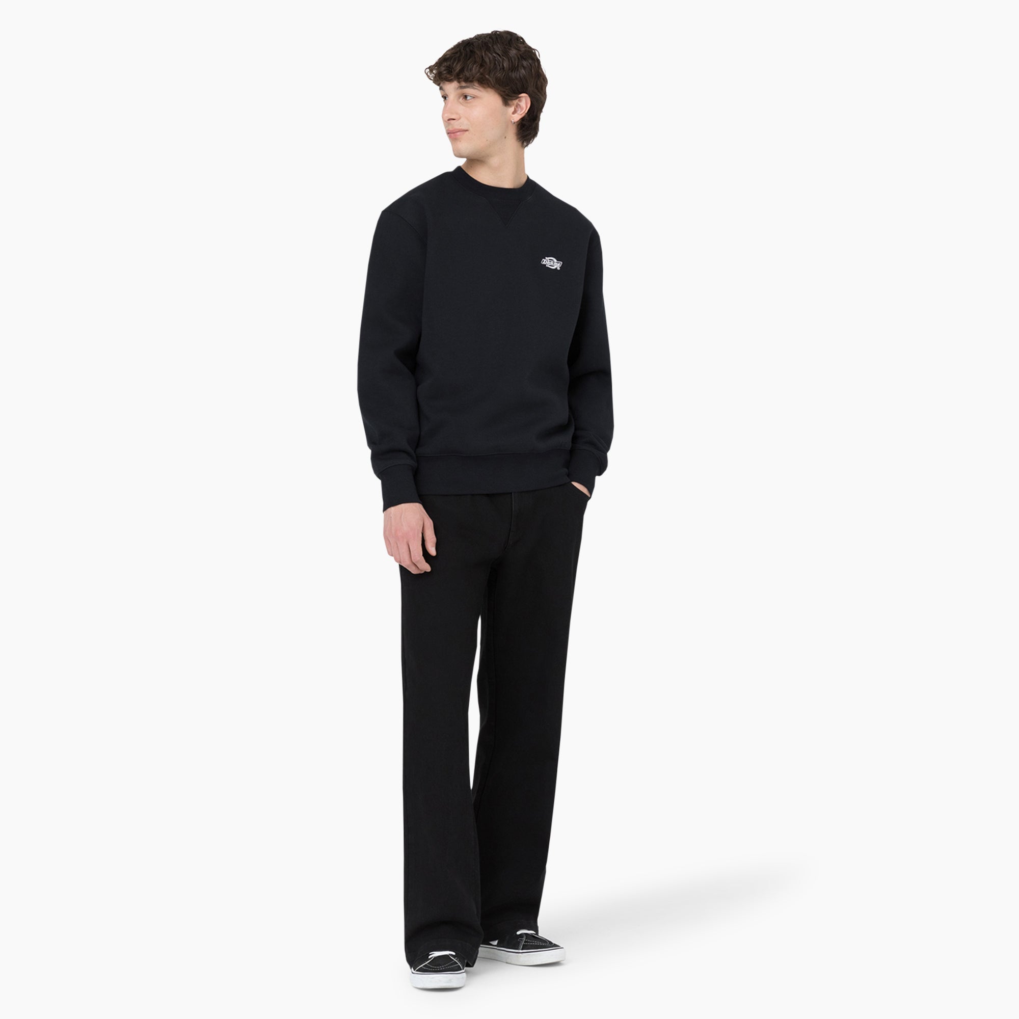 Dickies Skateboarding Wingville Loose Fit Jeans | Dickies for sale