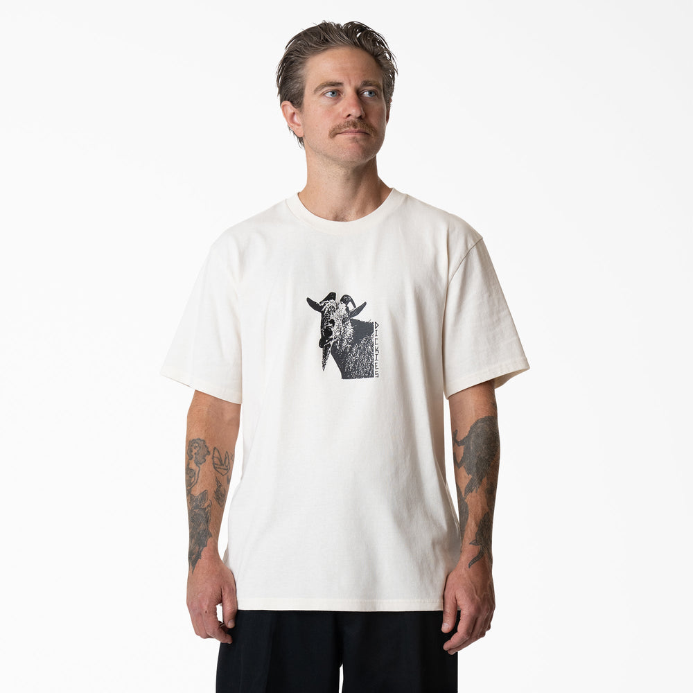 Mike Anderson Graphic T-Shirt | Dickies online