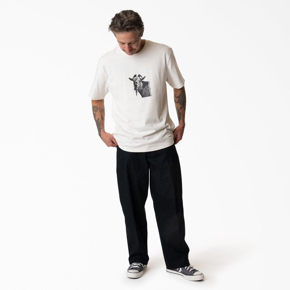 Mike Anderson Graphic T-Shirt | Dickies online