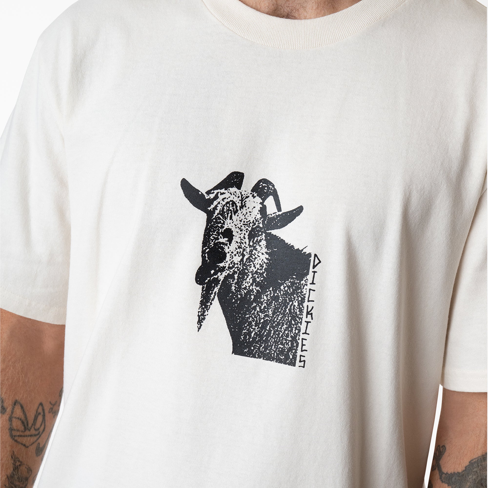 Mike Anderson Graphic T-Shirt | Dickies online