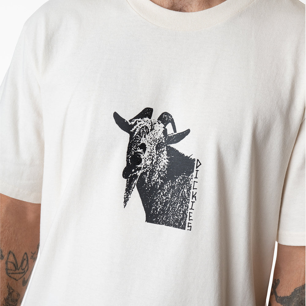 Mike Anderson Graphic T-Shirt | Dickies online