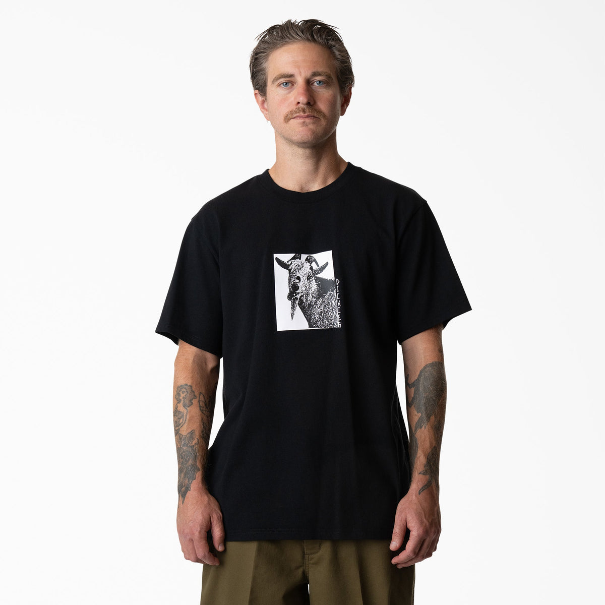 Mike Anderson Graphic T-Shirt | Dickies online