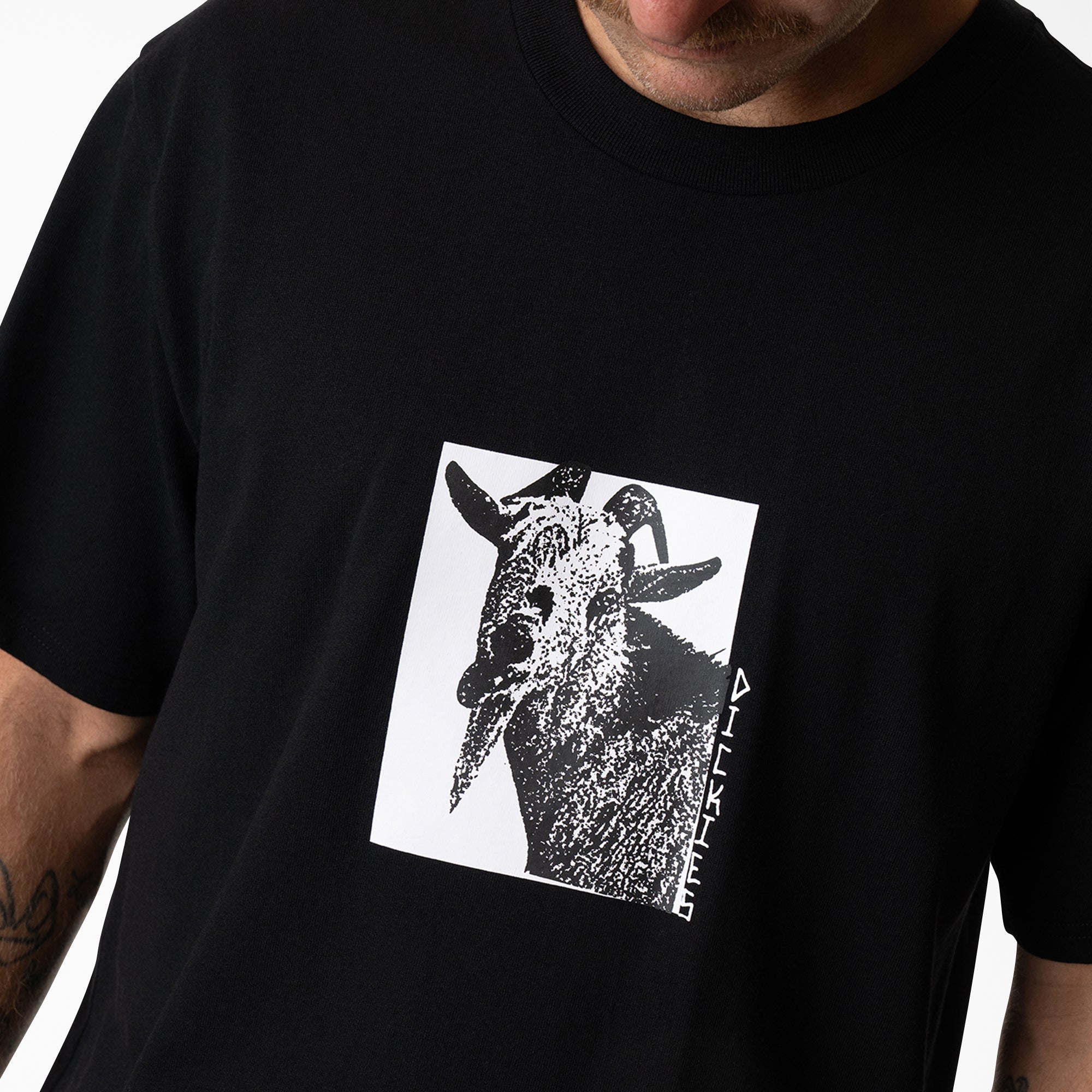 Mike Anderson Graphic T-Shirt | Dickies sale