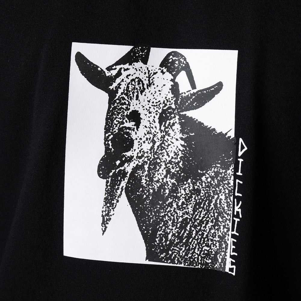 Mike Anderson Graphic T-Shirt | Dickies sale