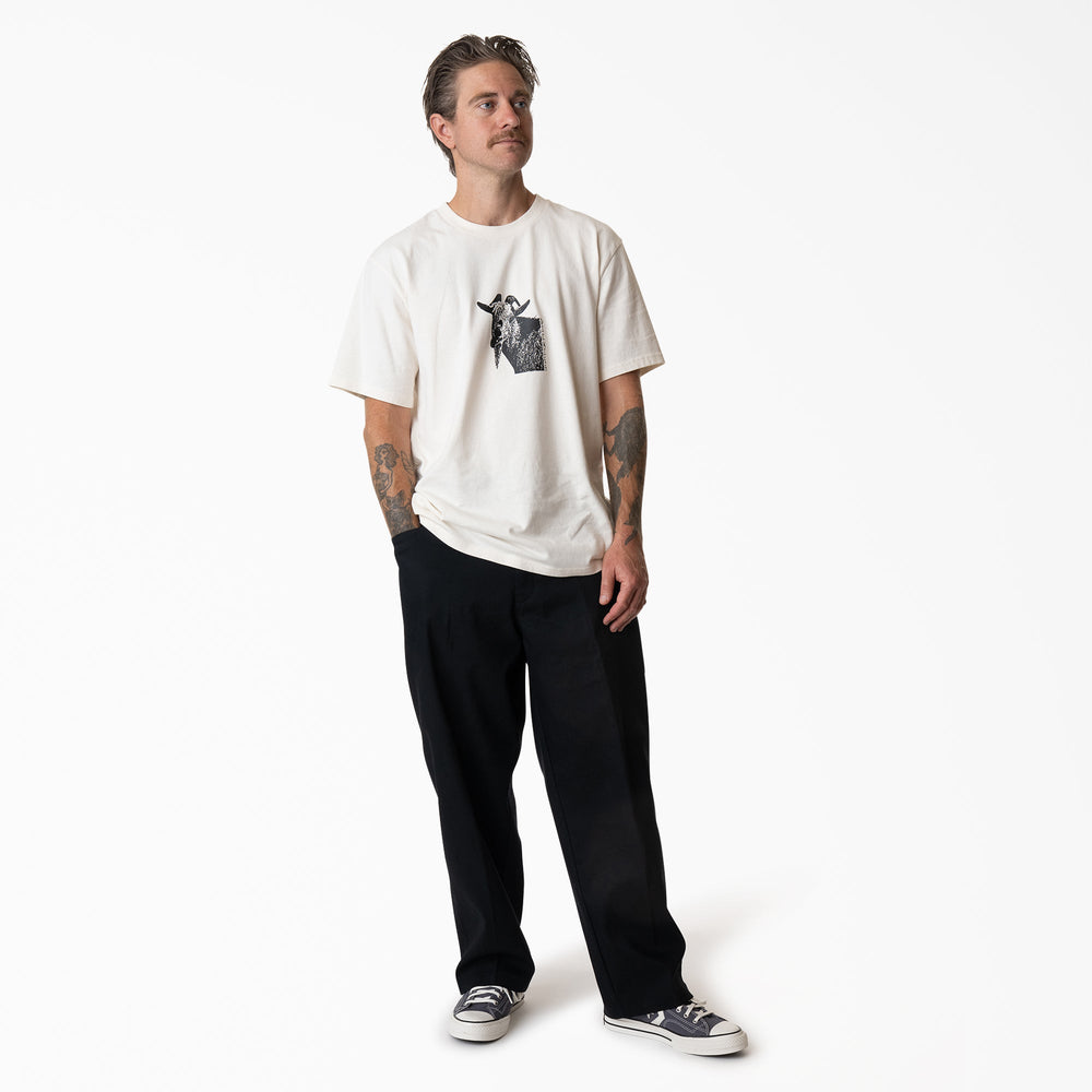 Mike Anderson Loose Fit Work Pants | Dickies online shop