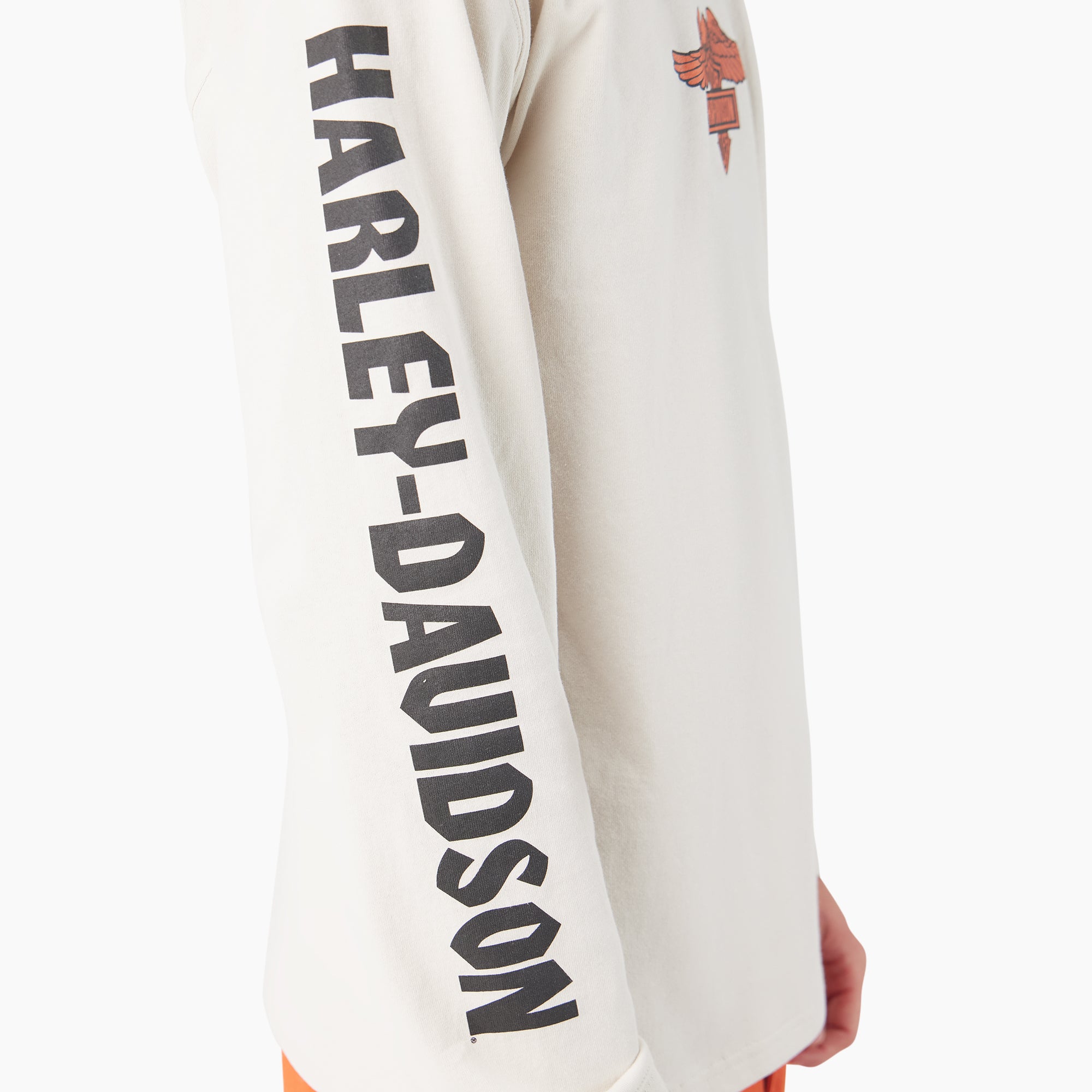 Dickies x Harley-Davidson Heavyweight Long Sleeve Eagle Tee | Dickies discount