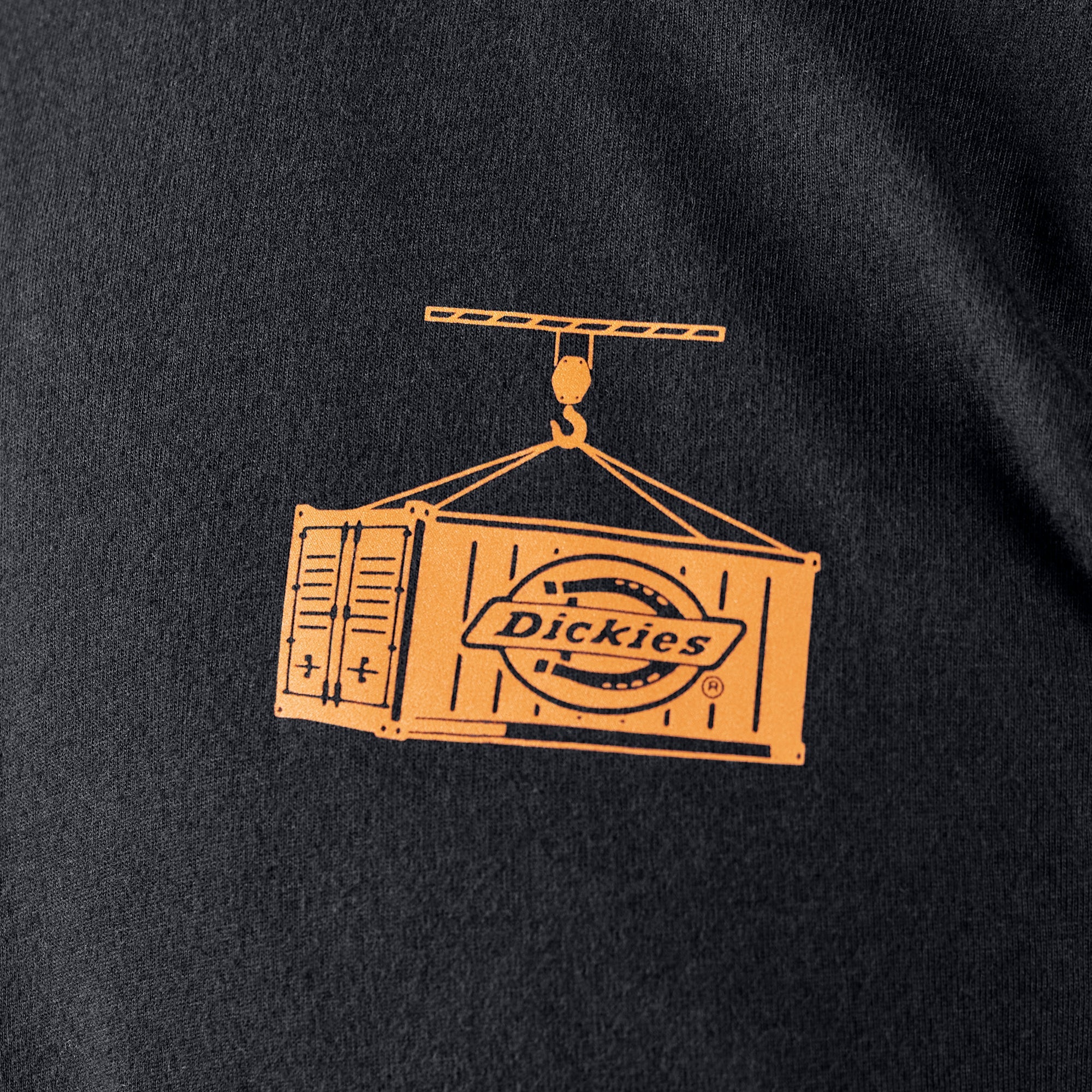 Apison Graphic T-Shirt | Dickies on sale