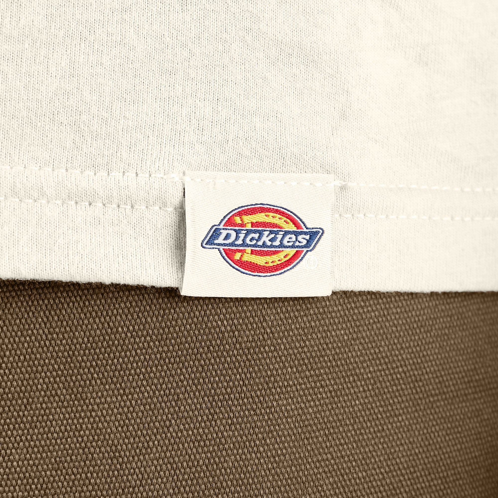 Apison Graphic T-Shirt | Dickies online