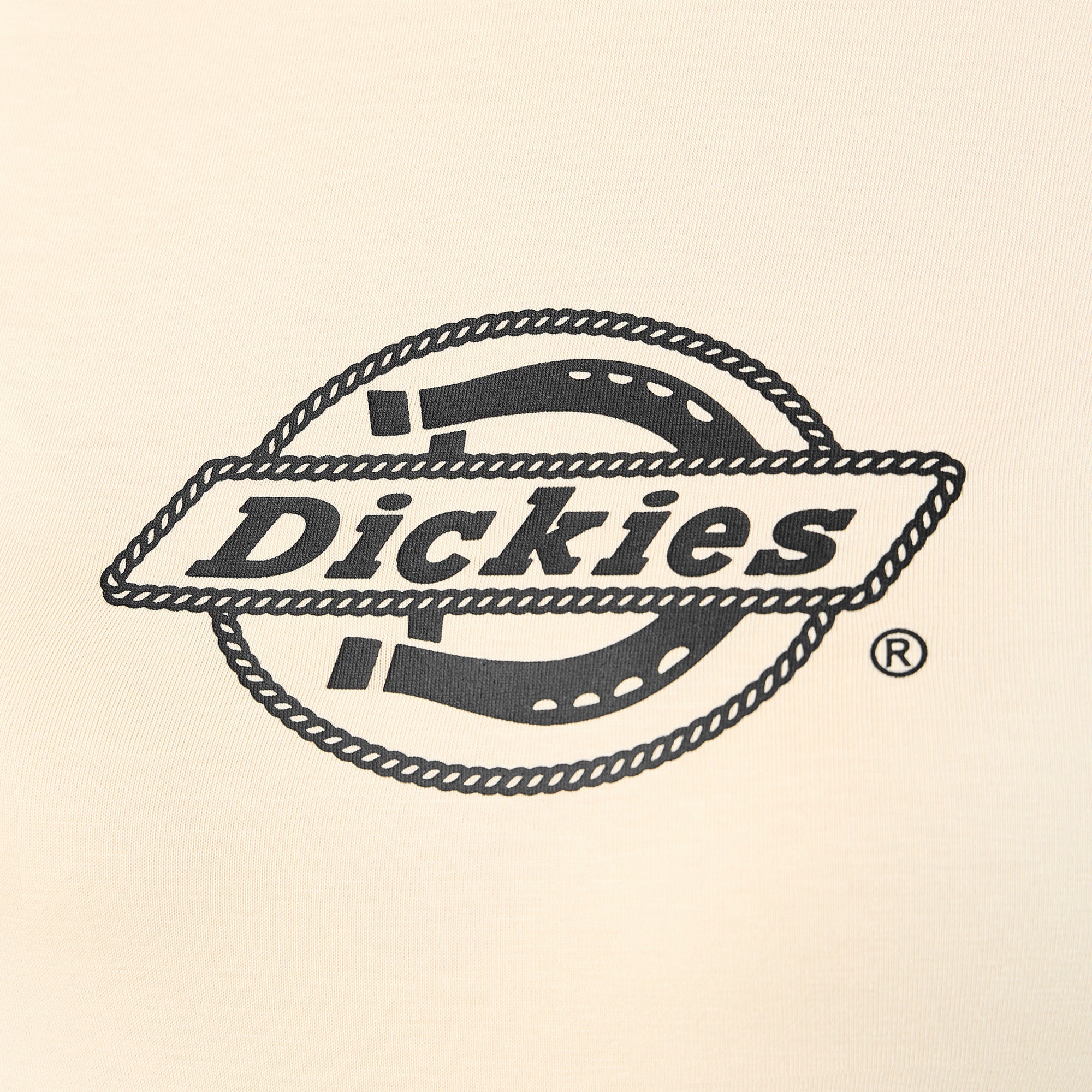 Women's Fort Shaw Raglan T-Shirt | Dickies near me