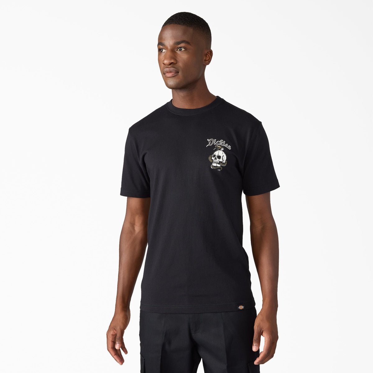 Rattler Graphic T-Shirt | Dickies online shop